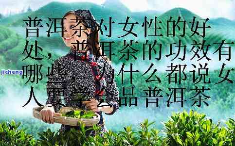 女人生普洱茶-女人生普洱茶的功效与作用