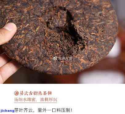 辨别熟普洱茶真伪的方法与视频