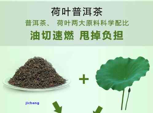 普洱荷叶茶价格一盒是多少？请给出详细信息