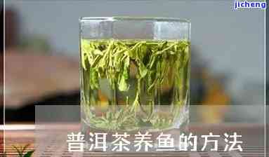 养鱼用普洱茶-养鱼用普洱茶好吗