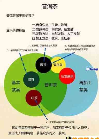 普洱茶教程从零开始：步骤详解与口诀