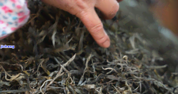 临河卖普洱茶-临河卖普洱茶的地方