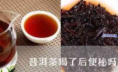 普洱茶排便嘛-普洱茶排便嘛能喝吗