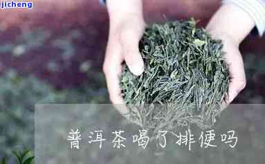 普洱茶排便嘛-普洱茶排便嘛能喝吗