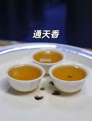 普洱茶通天香-通天香茶叶价格