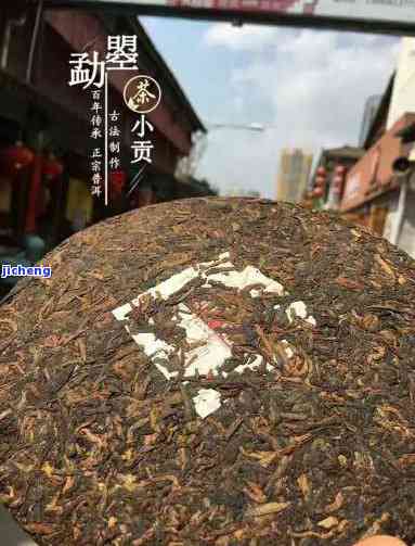 普洱茶生虱子-普洱茶生虱子还能喝吗