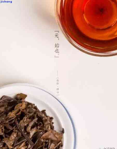 普洱茶极简，《揭秘普洱茶的极简历》