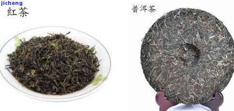 普洱茶logo，探索中国茶文化的象征：深入熟悉普洱茶的LOGO设计