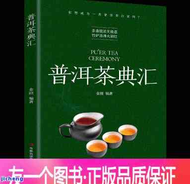 新普洱茶典：权威解读与实用指南