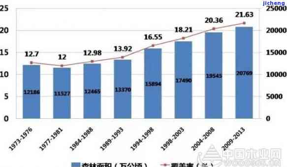 全面解析：中国林业情况与发展趋势