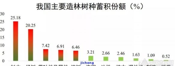 全面解析：中国林业情况与发展趋势