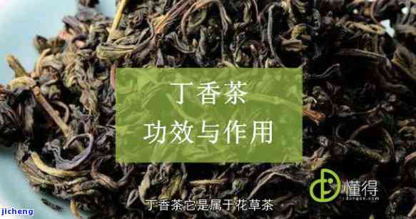 丁香加普洱茶-丁香加普洱茶的功效