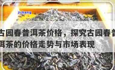 古园号普洱茶-古园春普洱茶价格