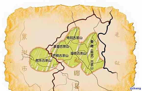 探秘好普洱：揭示顶级山头、与品质秘密