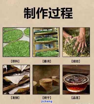 揭示普洱茶炒茶骗局：内幕曝光！