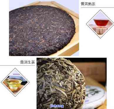 普洱茶三兄弟：究竟属于什么类型的茶？