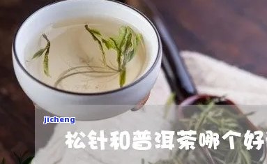 松针与普洱茶能否混饮？探究两者是不是适宜搭配