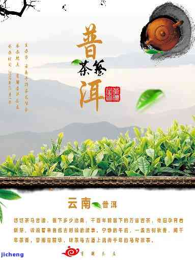 潭普洱茶-塘普洱茶