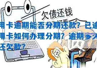 发逾期能分期吗-发逾期后分期还款可以减免手续费吗