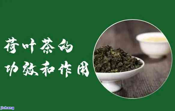 荷叶普洱茶的适合人群及功效，荷叶普洱茶：适合人群与神奇功效全解析