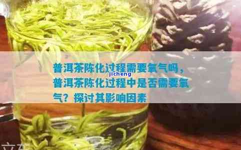 臭氧对普洱茶存有作用吗？探究其作用机制及实践应用