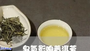 普洱茶与臭氧-普洱茶与臭氧茶的区别