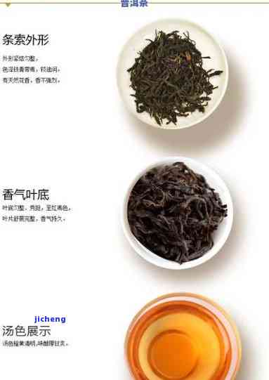 探索奶香味的普洱茶：种类与特点