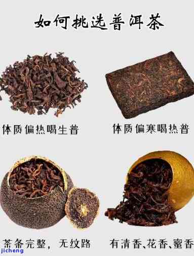 普洱茶加大料-普洱茶加香料