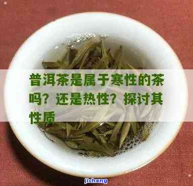 普洱茶寒凉吗？探讨其性质及适宜饮用情况