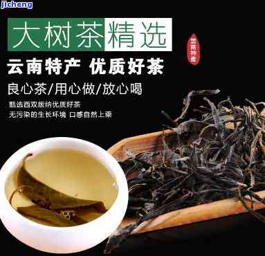 大车树普洱茶-普洱大树茶功效