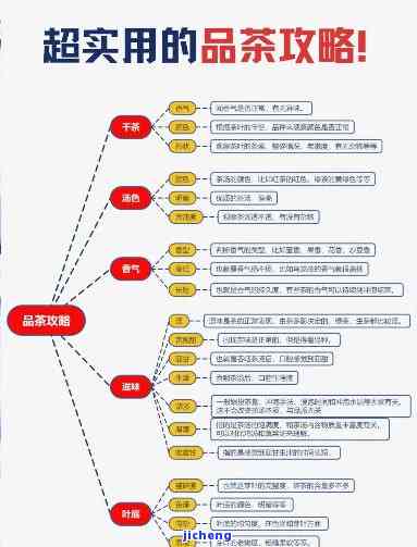 普洱茶审评流程：详解步骤与图表