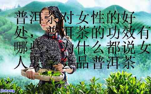 普洱茶女：含义与特点解析