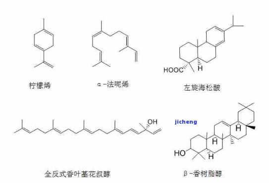 什么是萜烯类衍生物？它们有哪些种类？怎样读出其名称？