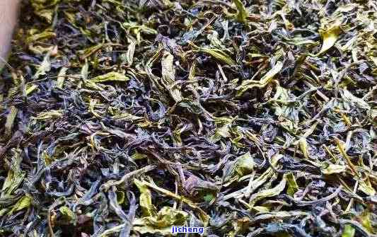 泉州人常喝哪些茶？探究当地最受欢迎的茶叶品种