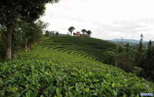 普洱茶谷农场-普洱茶谷农场电话