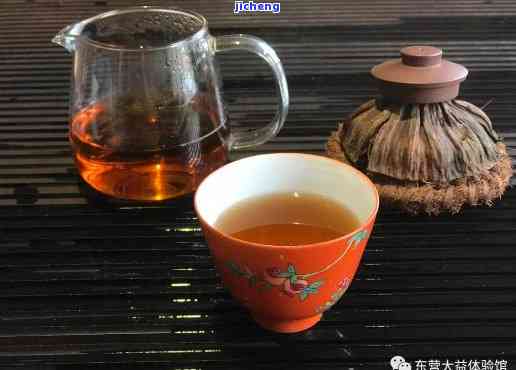 普洱茶可以和什么一起煮？探索美味搭配！