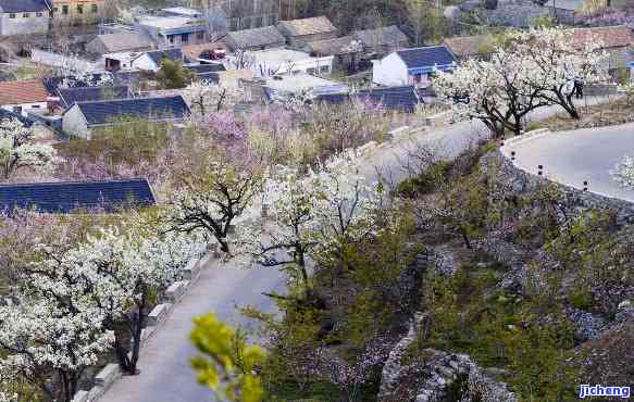 天宝山景区，探秘自然奇观：天宝山景区，尽享山水之美！