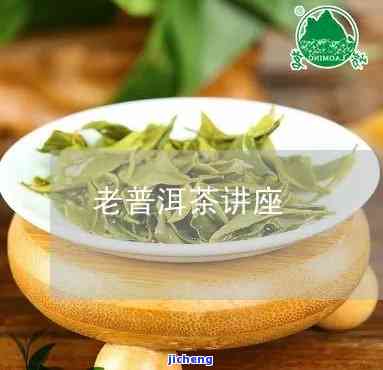 老普洱茶讲堂-老普洱茶讲堂视频大全