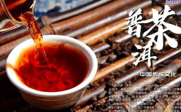 普洱茶，探索的茶文化：深入了解普洱茶