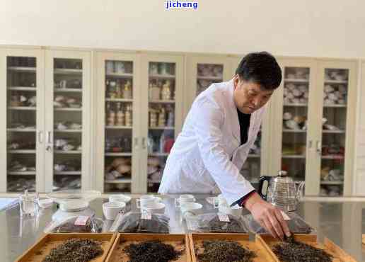 普洱建宏，探索普洱茶的世界：对话著名制茶人建宏