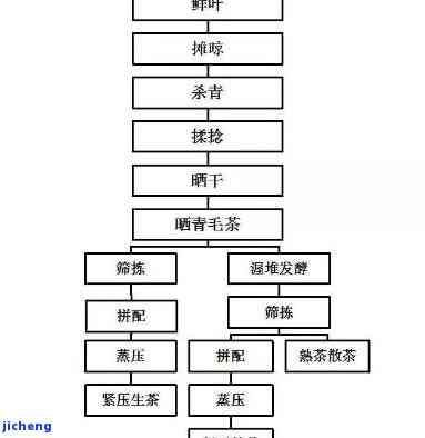 普洱茶压制工艺流程图详解：从选料到压制全过程解析