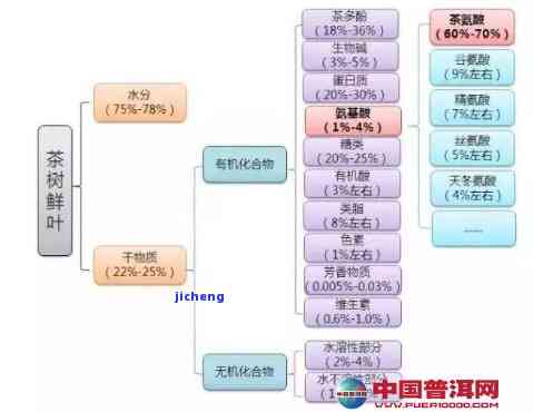 普洱茶的转化靠什么成分，揭秘普洱茶转化的秘密：关键在于哪些成分？