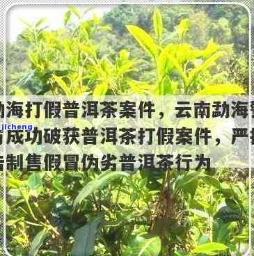 普洱茶被打假-普洱茶被打假案例