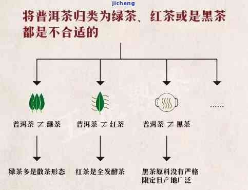 普洱茶东：方言说法、仓区别全解析