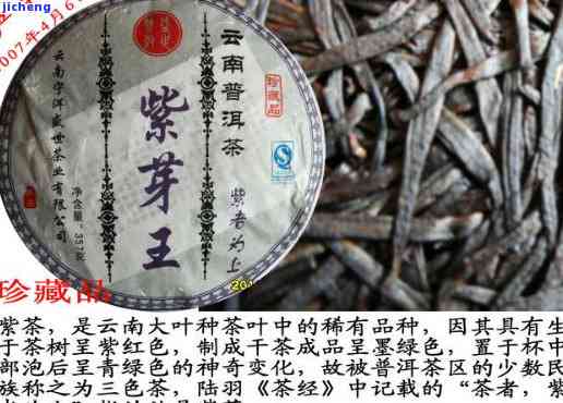 云南普洱紫茶是紫色的吗？探讨其颜色与图片解析