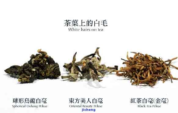 普洱茶渣长白-普洱茶渣长白毛能喝吗