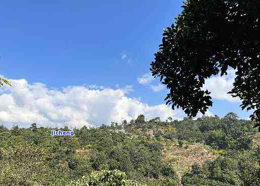 墨江普洱茶山，探秘墨江：揭秘普洱茶山的神秘面纱