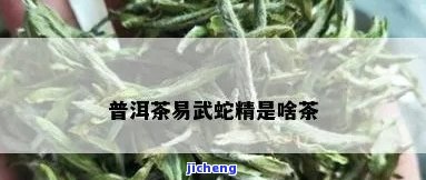 喝普洱茶蛇精-喝普洱茶蛇精好吗