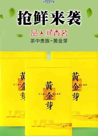 黄金龙茶叶价格全揭秘：多少钱一斤？相关行情分析！