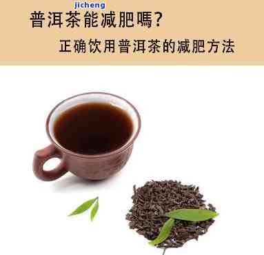 科学喝普洱茶-喝普洱茶的方法